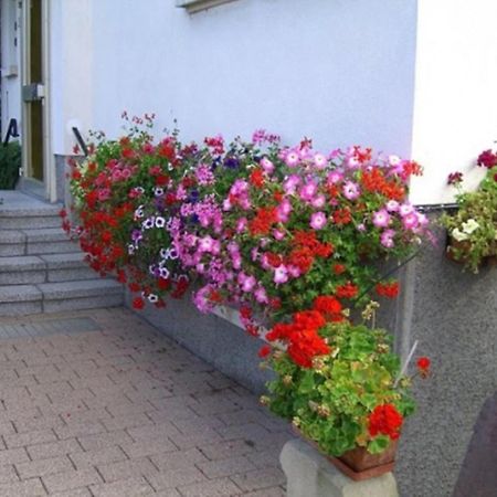 Studio Rouffach Zewnętrze zdjęcie